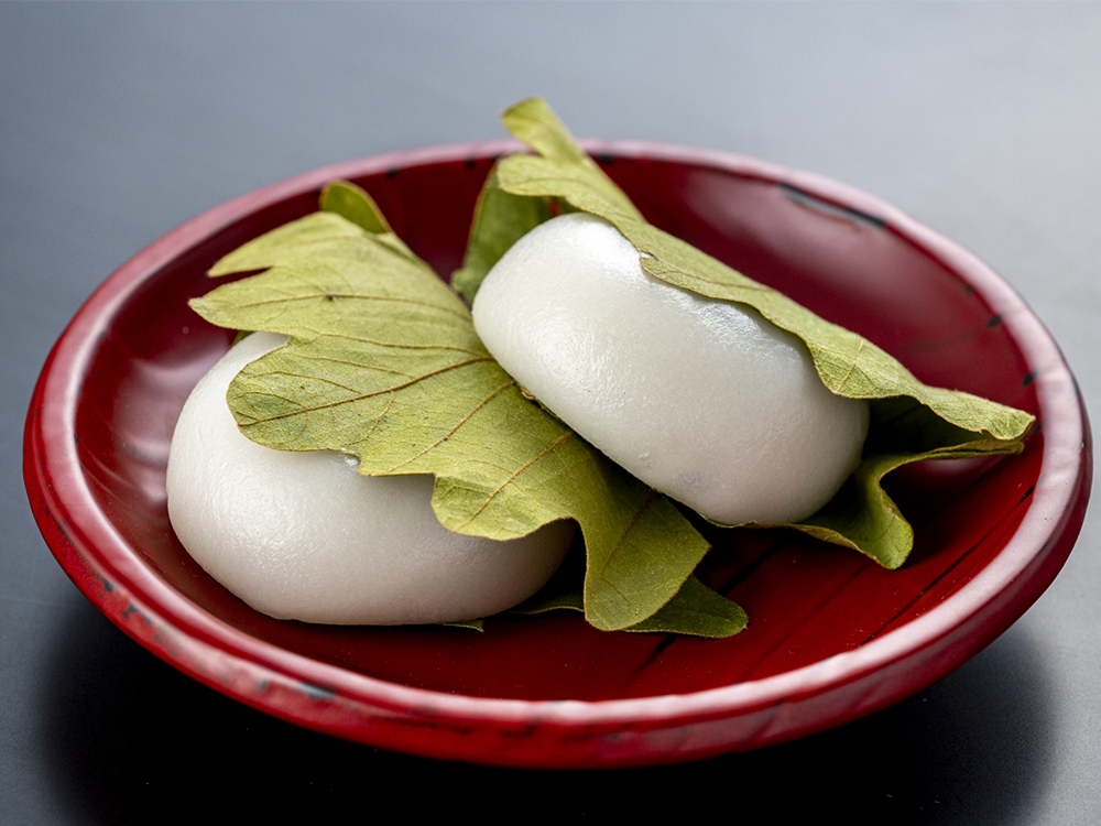  The Charm of the Japanese Sweet, "Kashiwa-mochi"