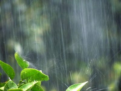 Japan's Rainy Season