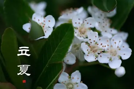 "Rikka,"the most beautiful and comfortable times of the year.