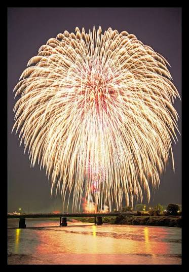 Flowers Blooming in the Night Sky