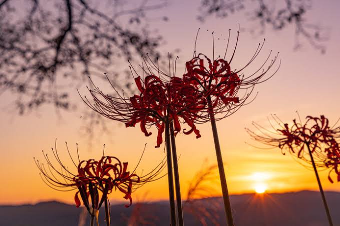 Autumnal Equinox