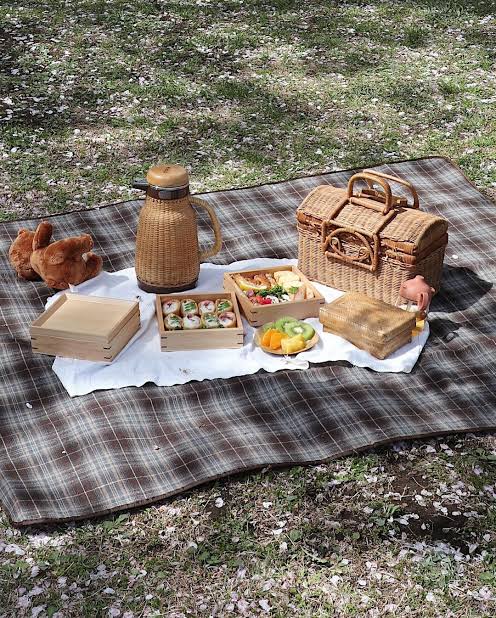 Autumn Picnics　"Bento"